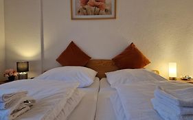 Holiday Apartment Near Triberg Waterfall
